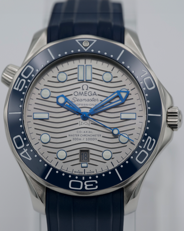Omega Seamaster 300 (210.32.42.20.06.001)