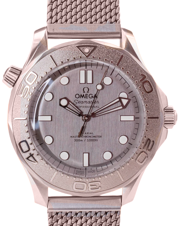 Omega Seamaster (210.30.42.20.06.002)