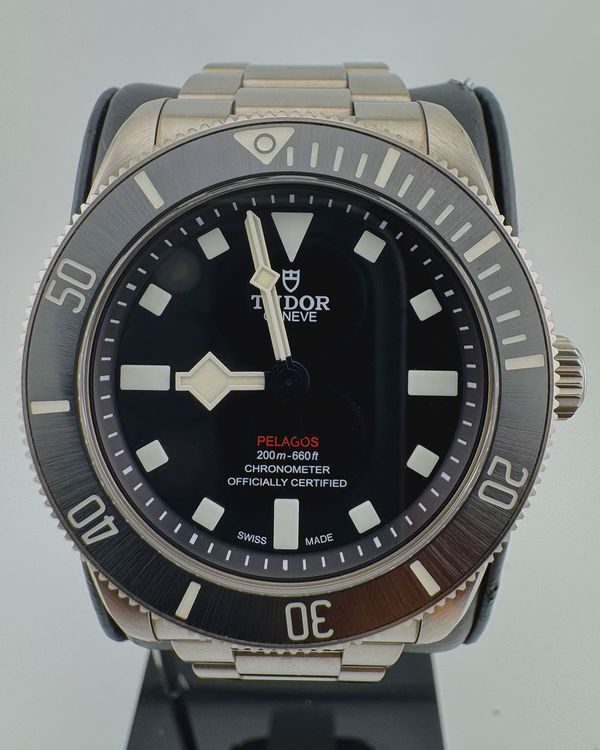 Tudor Pelagos (25407)