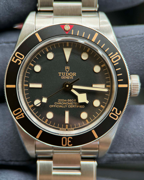 Tudor Black Bay (79030N)