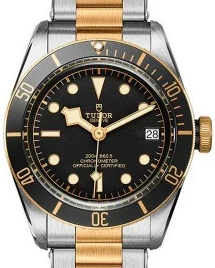 2026 Tudor Black Bay S&G 41MM Black Dial Two-Tone Bracelet (79733N)