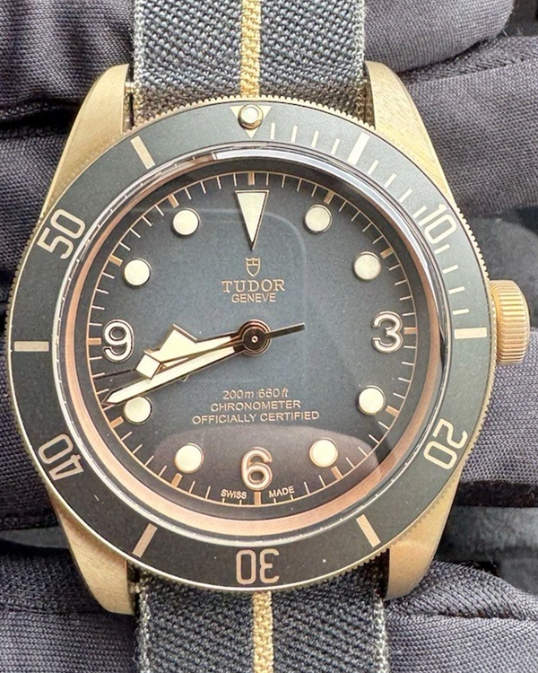 Tudor Black Bay (M79250BA)