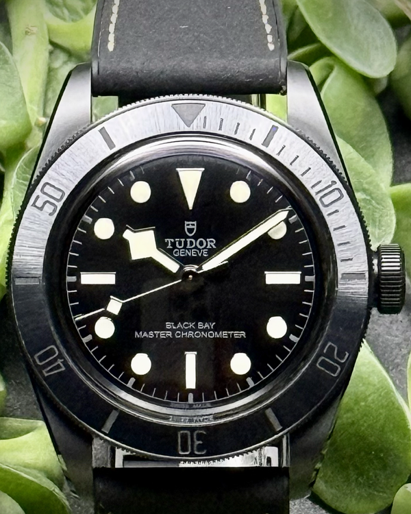2023 Tudor Black Bay 41MM Black Dial Leather Strap (79210CNU)