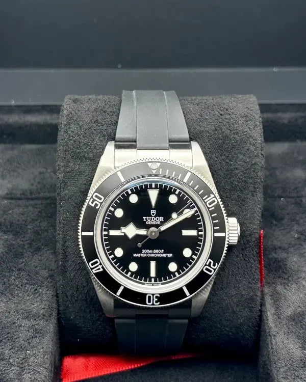 (WORKING) Tudor Black Bay (7941A1A0NU)