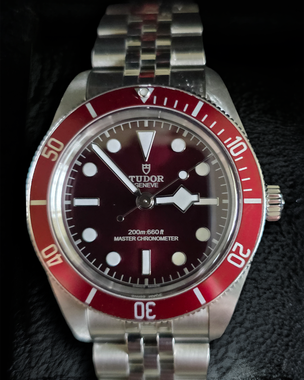 Tudor Black Bay (M7939A1A0RU-0001)