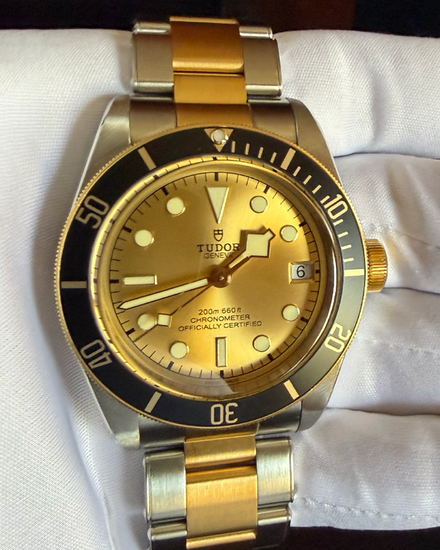 2021 Tudor Black Bay S&G 41MM Champagne Dial Two-Tone Bracelet (79733N)