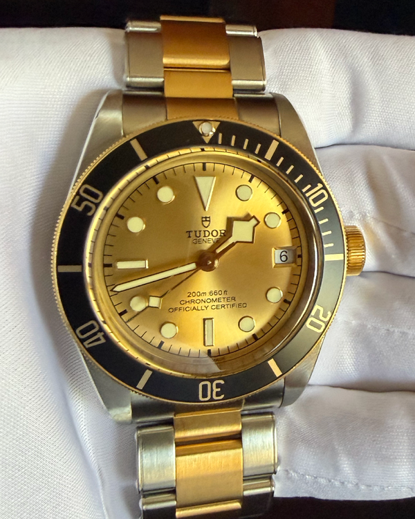Tudor Black Bay (79733N-0004)
