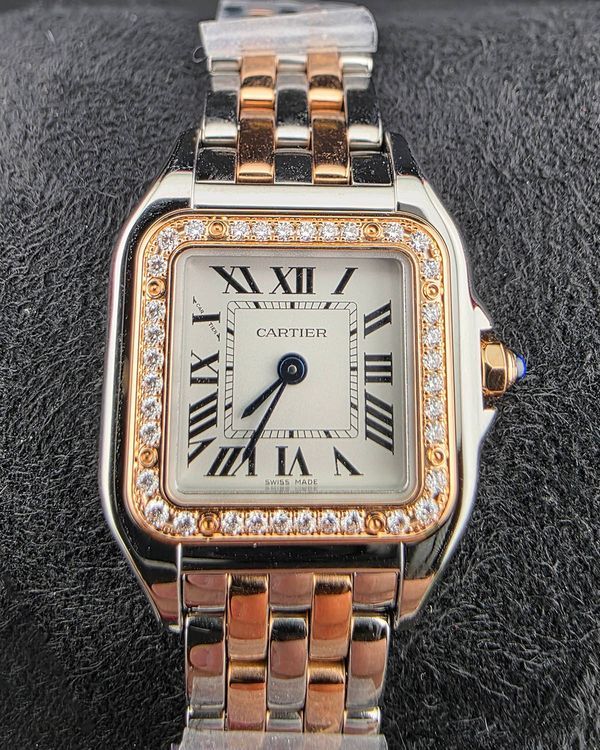 Cartier Panthère De Cartier (w3pn0014)