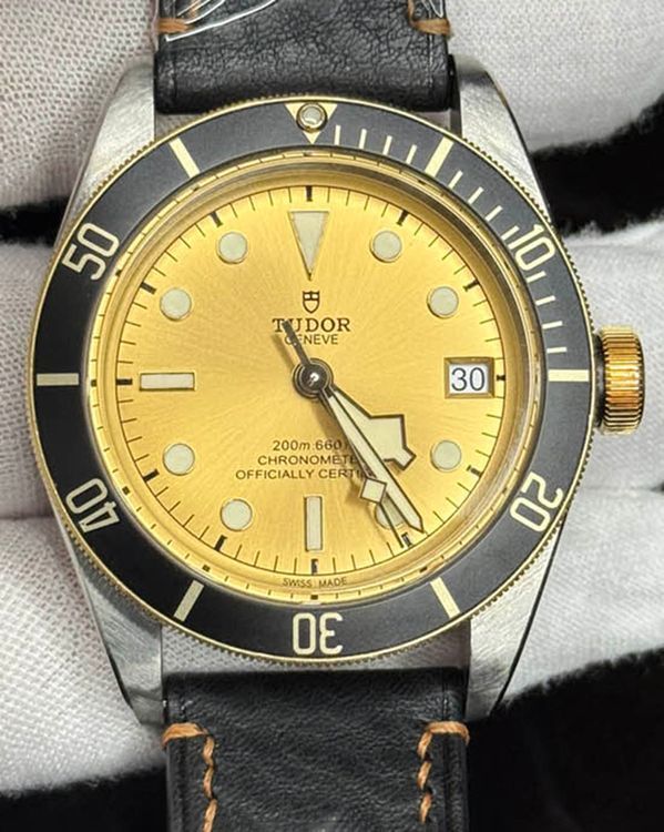 Tudor Black Bay (79733N)