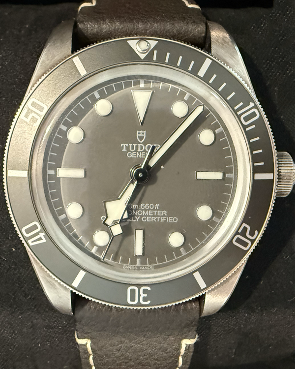 Tudor Black Bay (79010SG)