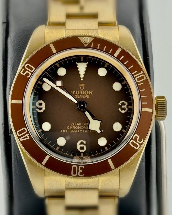 Tudor Black Bay (79012)