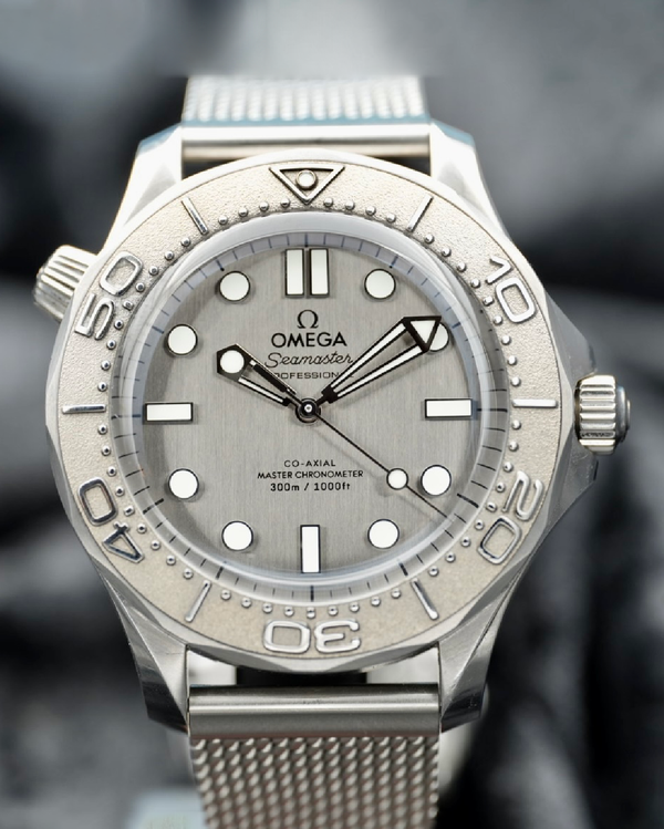 Omega Seamaster 300 (210.30.42.20.06.002)