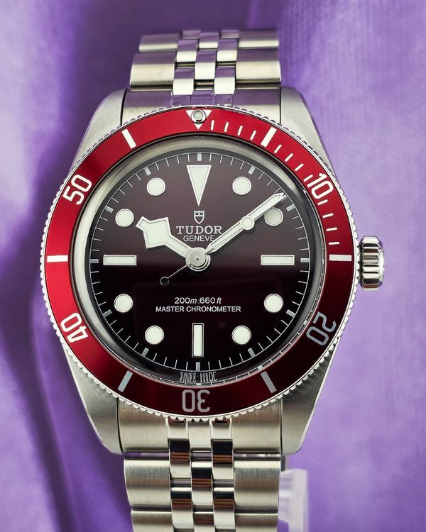 Tudor Black Bay (M7939A1A0RU-0001)