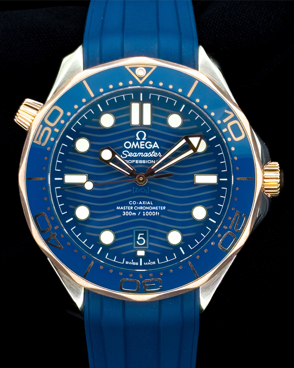 Omega Seamaster 300 (210.22.42.20.03.002)