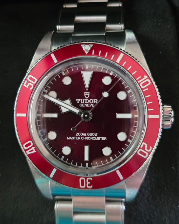 2025 Tudor Black Bay 58' 39MM Red Burgundy Dial Steel Bracelet (7939A1A0RU)