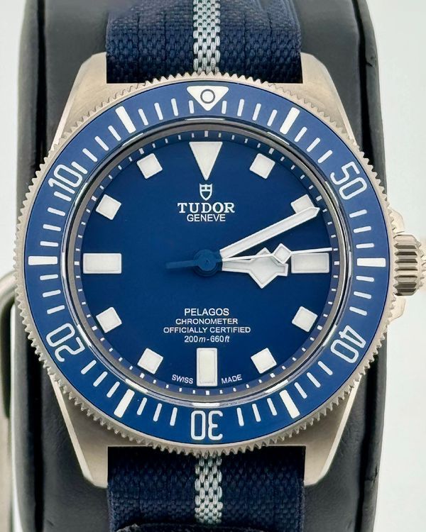 Tudor Pelagos (25707B)