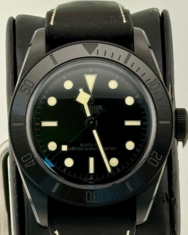 Tudor Black Bay (79210)
