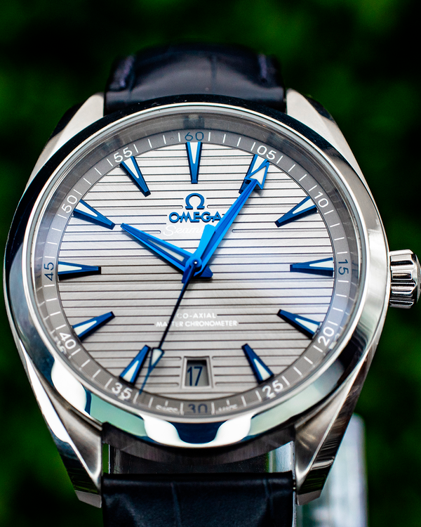 Omega Seamaster Aqua Terra (220.13.41.21.06.001)