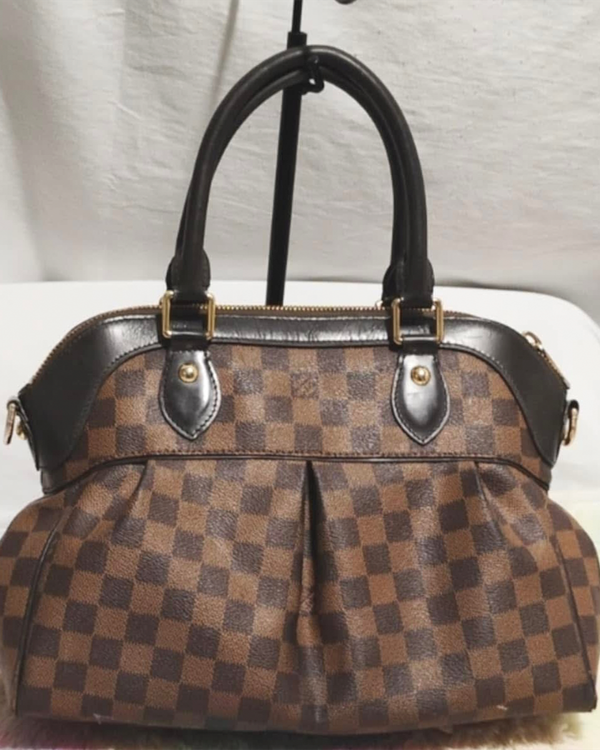 Louis Vuitton Accessories Trevi PM Damier Ebene 9.84 x 13.38IN Canvas Steel Hardware Leather Strap (Ebene Trevi)