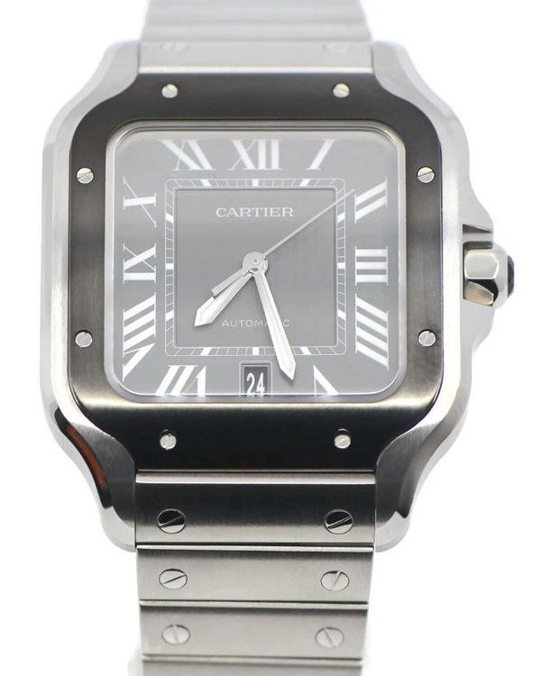 Cartier Santos 100 (WSSA0037)
