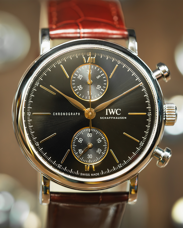 IWC Schaffhausen Portofino (IW391404)