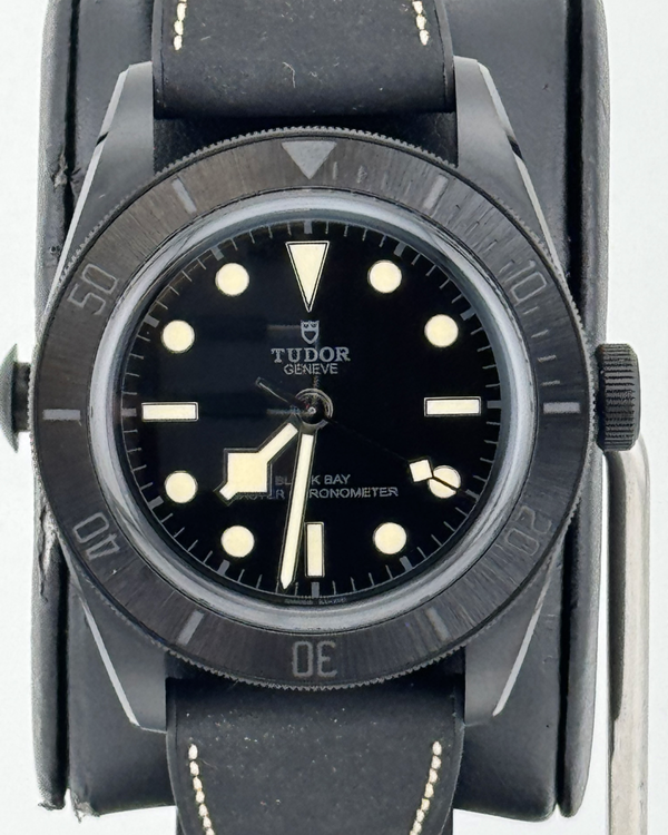 Tudor Black Bay (79210)