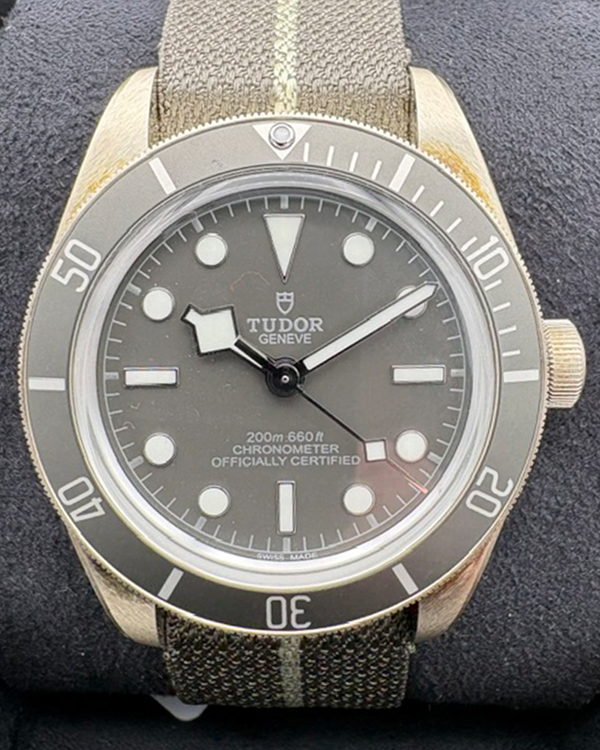 Tudor Black Bay (79010SG)