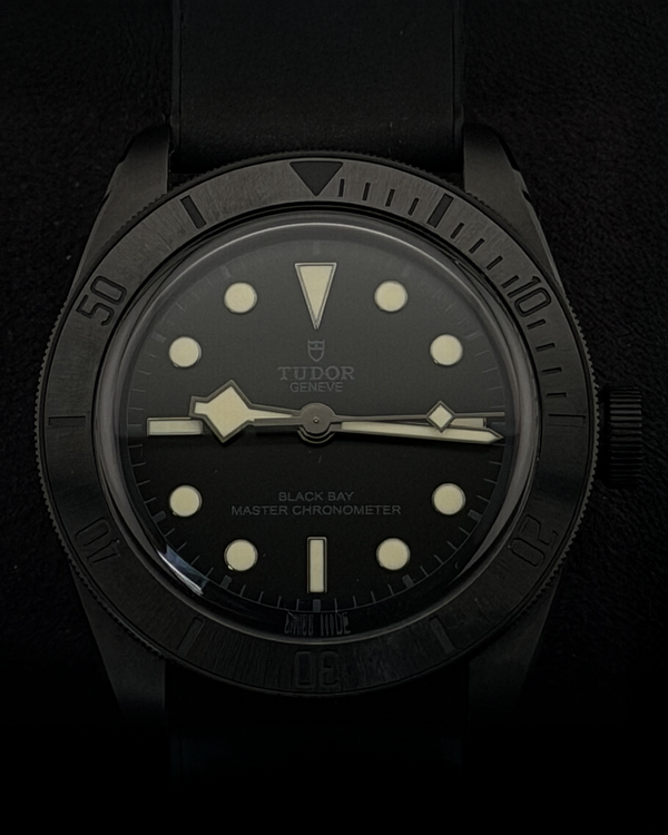 2023 Tudor Black Bay 41MM Black Dial Leather Strap (79210CNU)
