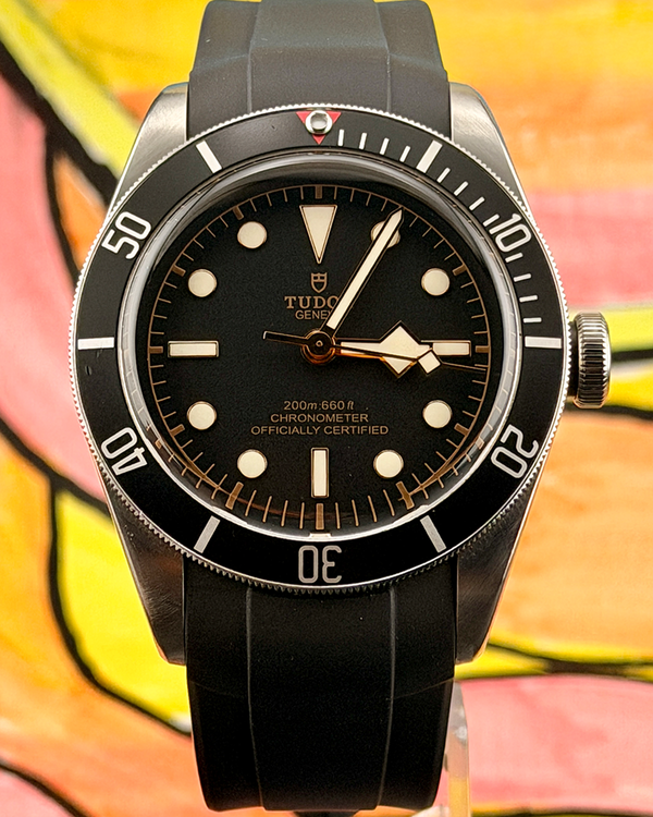 2020 Tudor Black Bay 41MM Black Dial Rubber Strap (79230N)