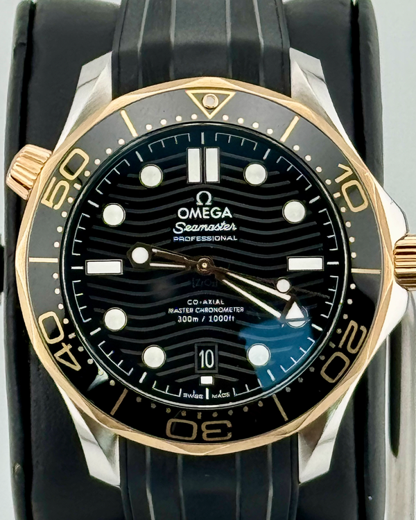 Omega Seamaster (210.20.42.20.01.001)