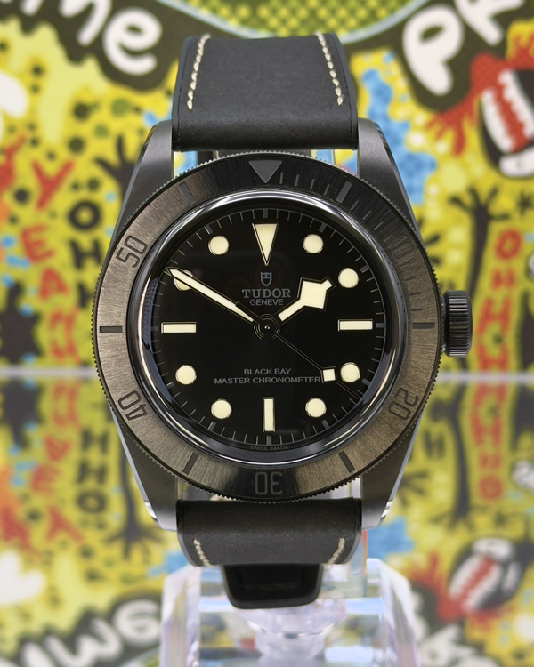 Tudor Black Bay (79210CNU)
