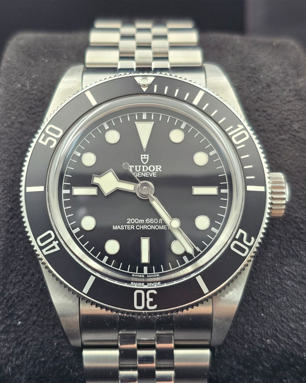 Tudor Geneve (7941A1A0NU)