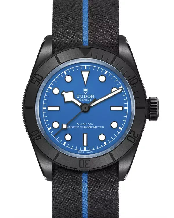 Tudor Black Bay (79210CNU)