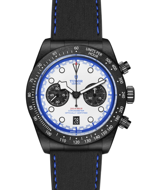 Tudor Black Bay (79377KN)