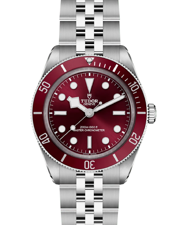 Tudor Black Bay (7939A1A0RU)