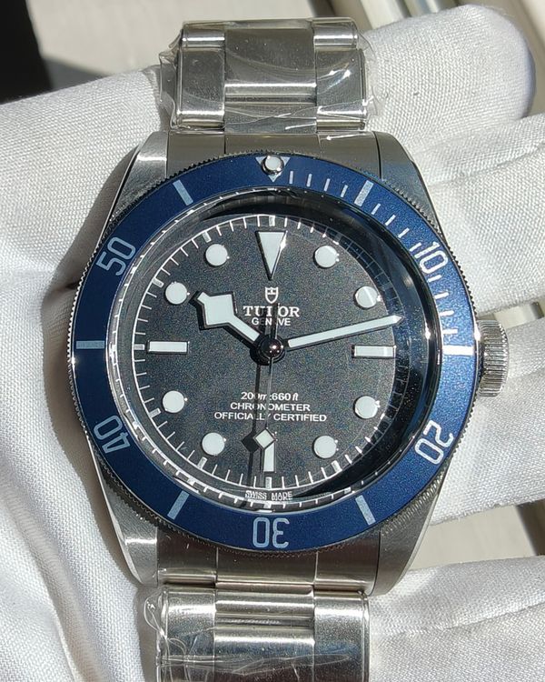 Tudor Black Bay (79230B)