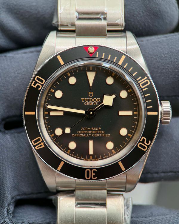 Tudor Black Bay (79030N)