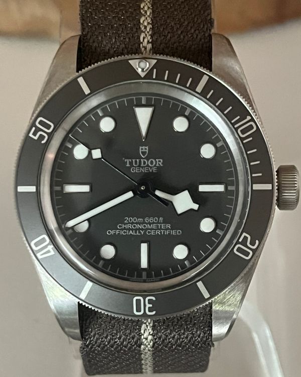 Tudor Black Bay 58 925 Silver 39MM Grey Dial Textile Strap (79010SG)