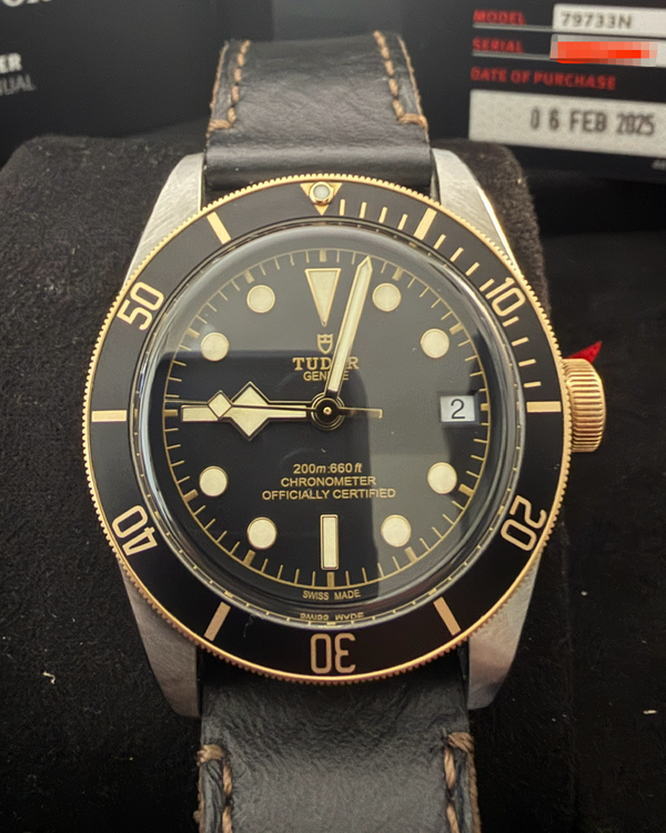 2025 Tudor Black Bay S&G 41MM Black Dial Leather Strap (79733N)