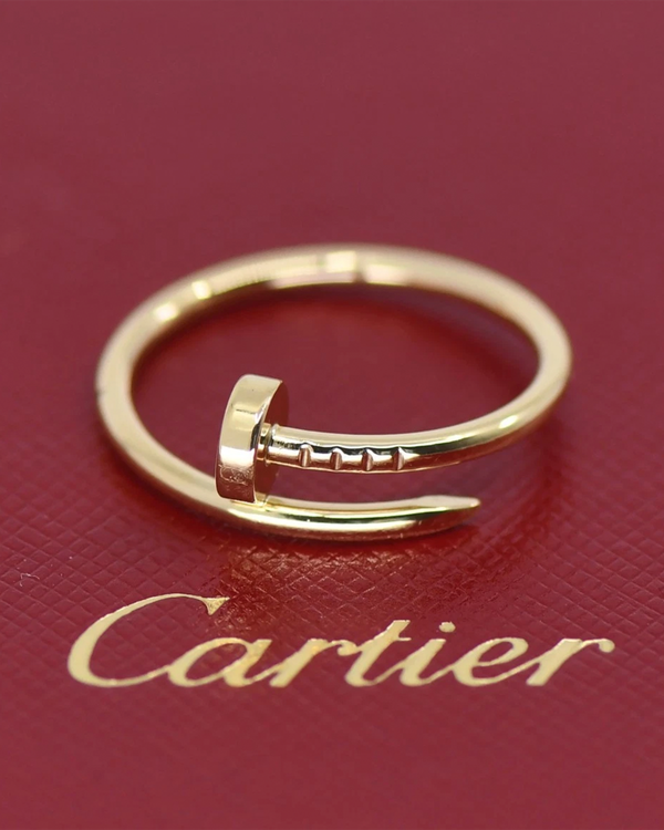 Cartier Santos 100