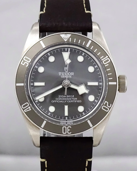 2024 Tudor Black Bay 58 39MM Taupe Dial Leather Strap (79010SG)