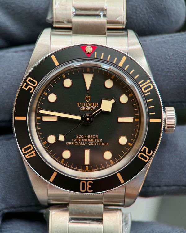 Tudor Black Bay (79030N)