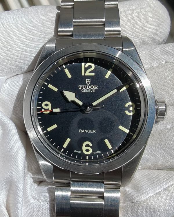 Tudor Ranger (79950)