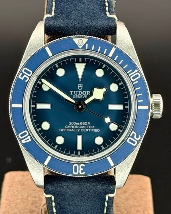 Tudor Black Bay (79030B)