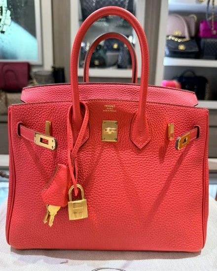 2014 Hermès Birkin 25 Togo Rouge Pivoine Medium Leather Gold Hardware Leather Strap (25)