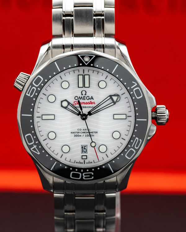 Omega Seamaster 300 (210.30.42.20.04.001)