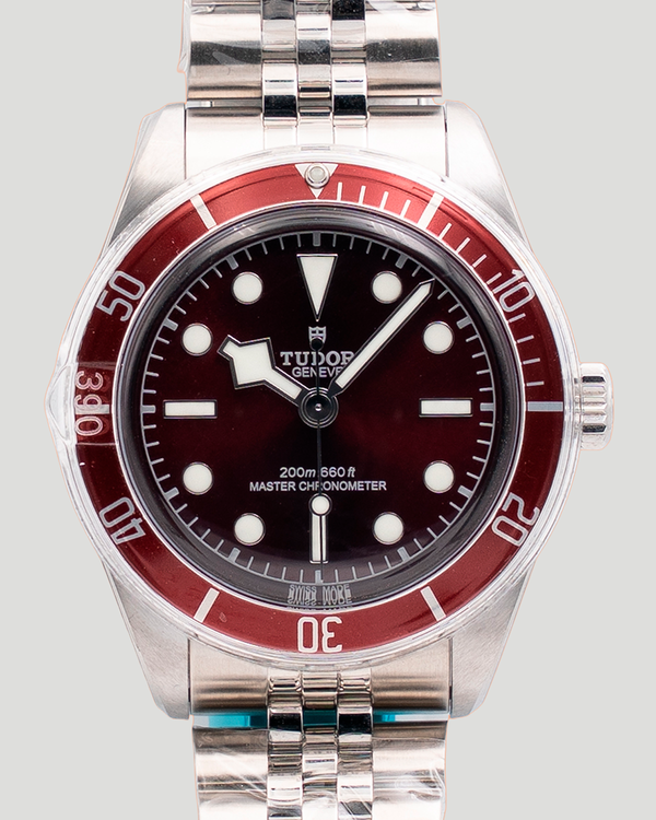 Tudor Black Bay (M7939A1A0RU-0001)