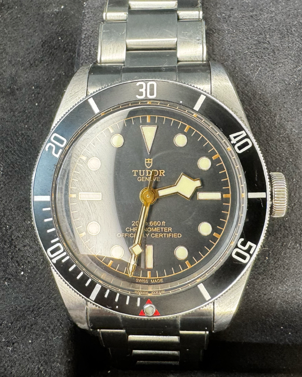Tudor Black Bay (79230N)
