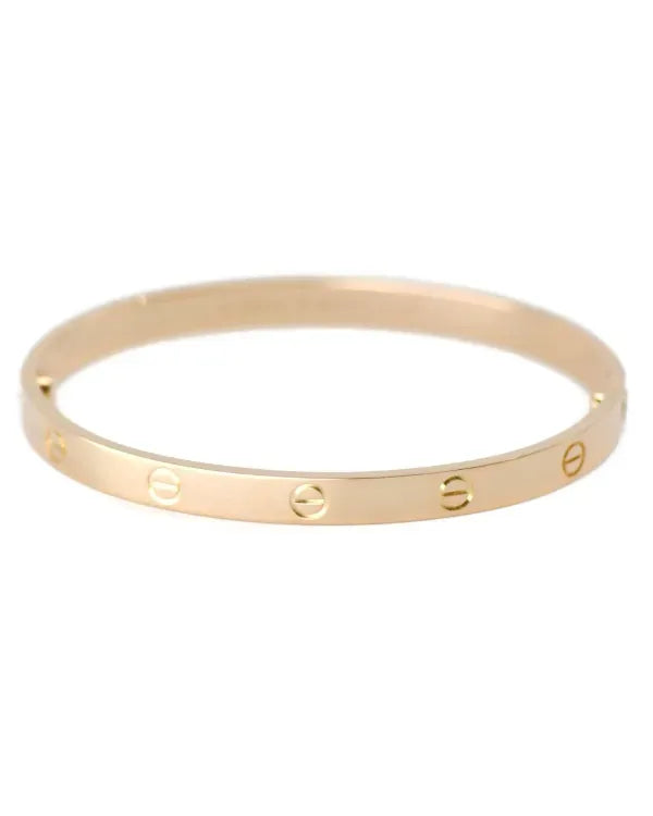 Cartier Santos 100