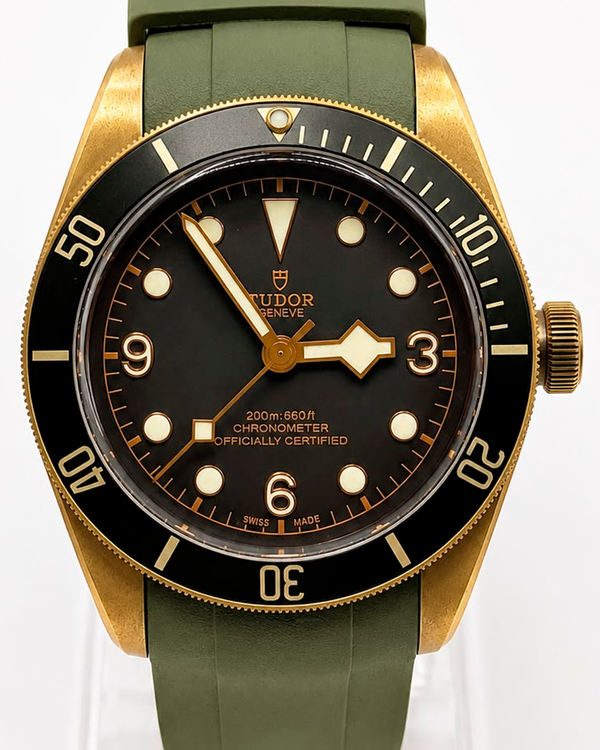 Tudor Black Bay (M79250BA-0001 )